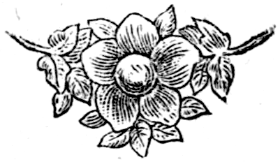 The_Raven;_with_literary_and_historical_commentary_-_page_83,_fleuron